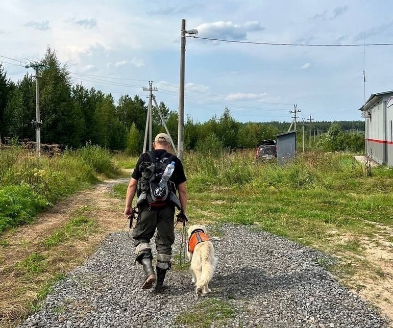 Пропавший в районе СНТ «Магистраль» под Архангельском 86-летний грибник нашёлся