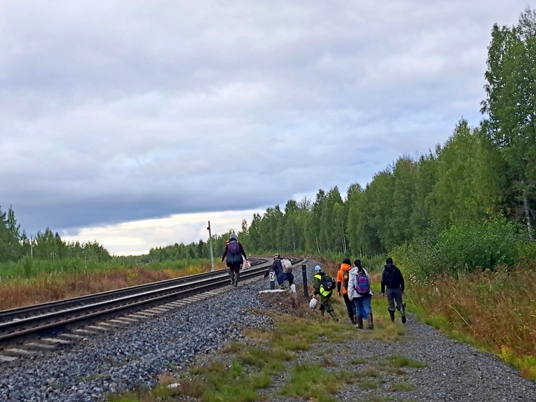 В Архангельской области чрез месяц найдено тело пропавшего в лесу мужчины